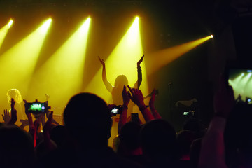 Fototapeta na wymiar audience at concert at nightclub