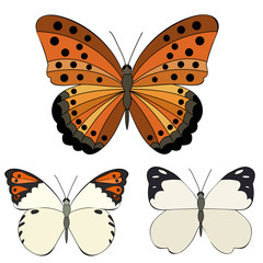 vector, isolated, butterflies