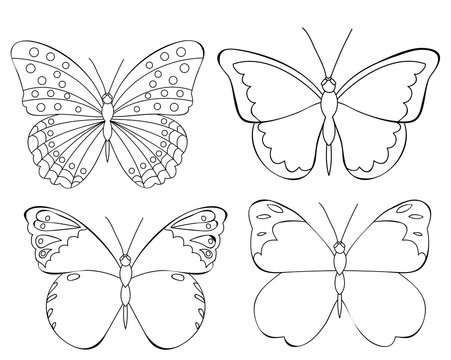 set of children's butterfly coloring book