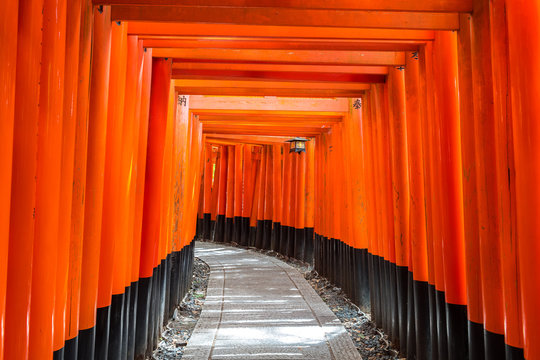 red torii gate of fushimi inari in kyoto, Japan