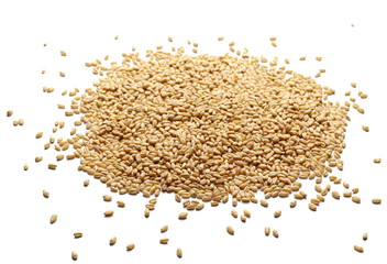 Wheat grains, kernels isolated on white background