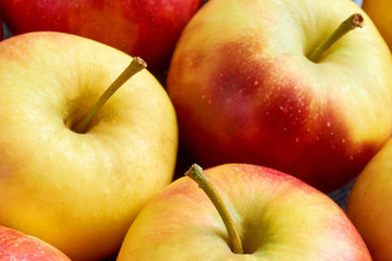 Close-up of multiple red yellow sweat soft organic apples with apple stalks
