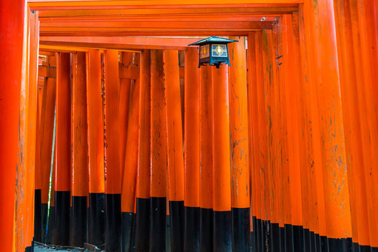 red torii gate of fushimi inari in kyoto, Japan