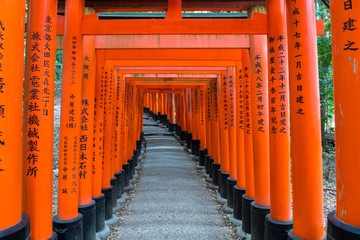 Fototapeta na wymiar red torii gate of fushimi inari in kyoto, Japan