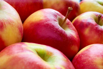 Close-up of multiple red yellow sweat soft organic apples with apple stalks