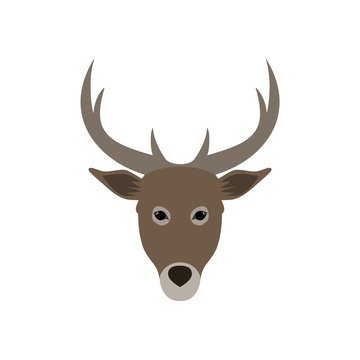 Deer head illustration, Deer Head Silhouette, Deer logo