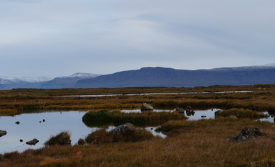 Landschaftsidyll mit See und Bergen in Island