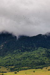 Clouds over the tops of the rocky mountains overgrown with trees. Photographed in the Caucasus, Russia.