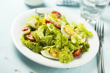 Fresh green salad with tomatoes and hard boiled egg