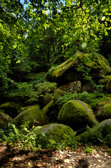 Huelgoat forest in Brittany, France