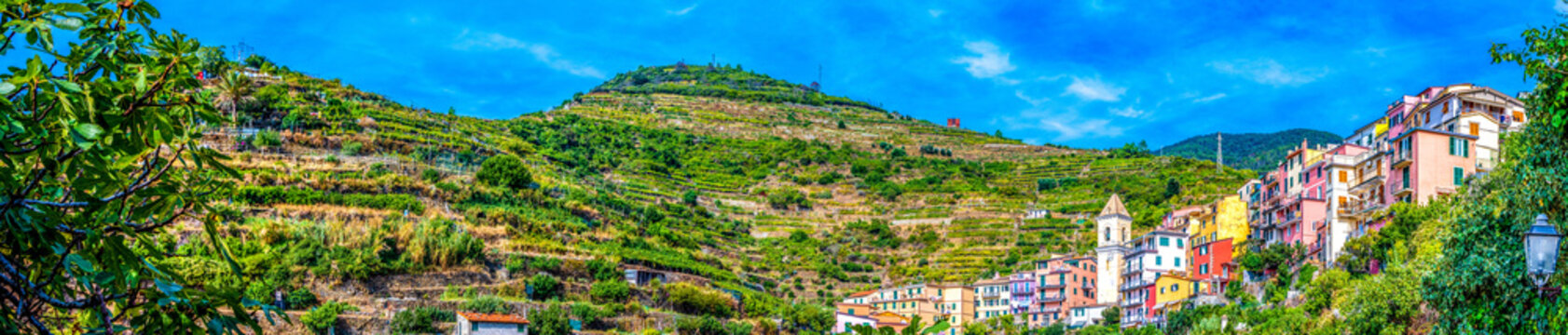 Panoramic view colorful houses with storied vineyards background in Manarola Village Italy