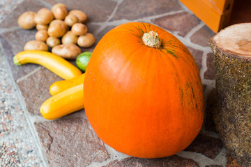 Pumpkin zucchini potato outdoor
