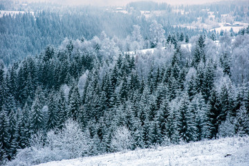 Winter landscape with snow on trees