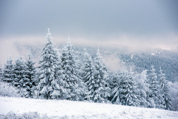 Fairy snowy winter Christmas landscape