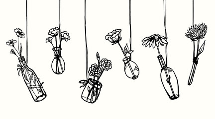 Drawing hanging flowers in vases and bottle. Interior decoration element for home or cafe. Wall print sketch..