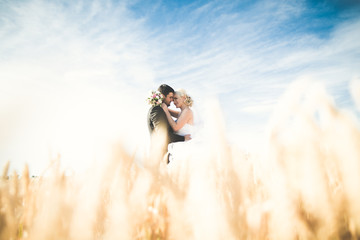 Emotional beautiful bride hugging newlywed groom at a field closeup