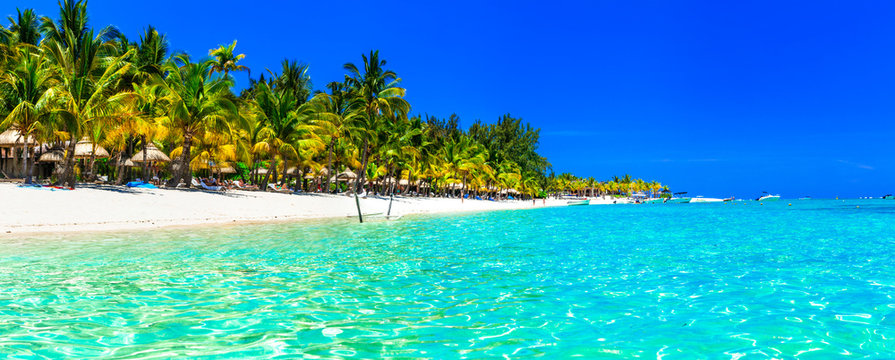 Fototapeta Tropical paradise- perfect beautiful white beaches of Mauritius island