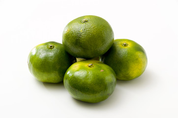 青切り温州みかん