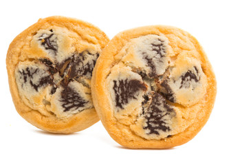 cookies with chocolate isolated