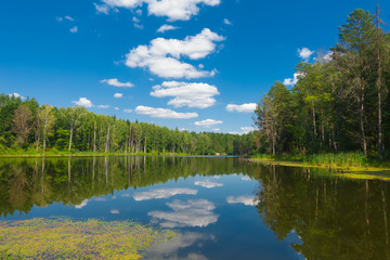Beautiful forest lake and blue sky at sunny day.