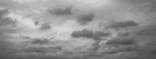 Photo sur Plexiglas Ciel Panorama of beautiful thunder clouds. Grey overcast dramatic sky.