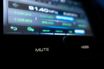 Car audio in mute mode