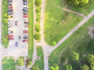 Aerial view full cars at parking lot in American urban park. Congestion, crowded parking with other cars try getting in and out, finding space. Rows of cars, road sign for disabled drivers, green tree © trongnguyen