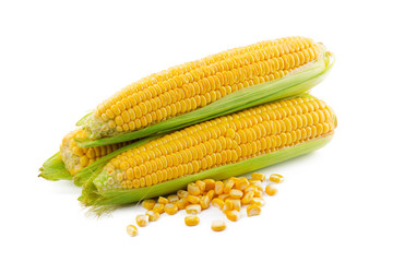 Corn on a white background