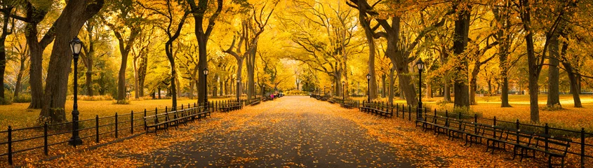 Washable wall murals Central Park Autumn panorama in Central Park, New York City, USA