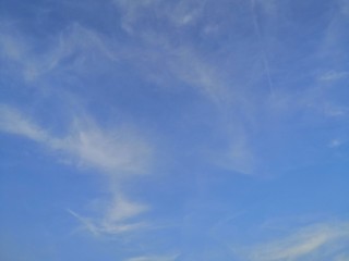 The bright sky welcomes the upcoming cold.