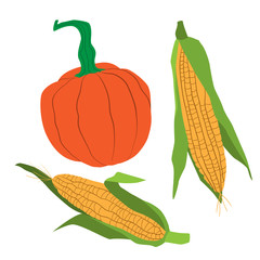 Pumpkin and corn. Set of agricultural vegetables. Isolated objects on a white background. Vector illustration. Elements for design a Thanksgiving Day.
