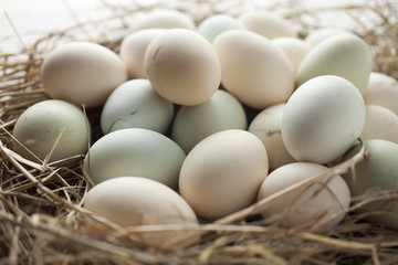 lot of eggs in multiple colors