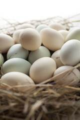 lot of eggs in multiple colors
