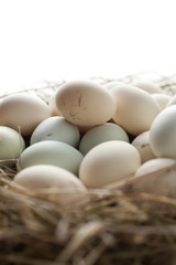 lot of eggs in multiple colors