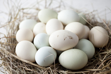 lot of eggs in multiple colors