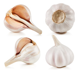 Garlic Isolated on white