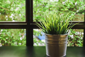 Grass bucket with window background