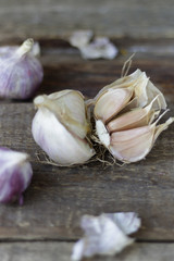 Close-up view of fresh raw garlic bulbs on rustic wooden background