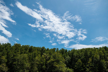 Skyscape blue summer sky with white clouds and tropical mangrove forest in Trat, Thailand