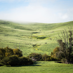 Obraz premium Green Farm paddock in hills with low cloud