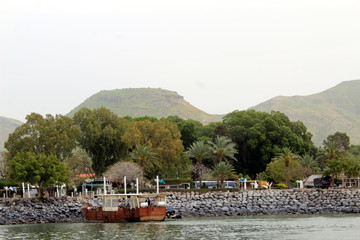 Shore of the sea of galilee