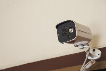 Rice farm and sunset sky