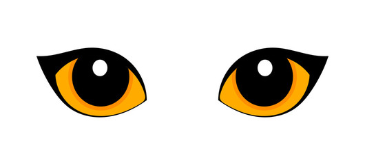 Orange cat eyes isolated on white background