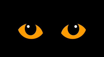 Orange cat eyes isolated on black background.