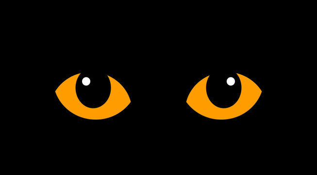 Orange cat eyes isolated on black background.