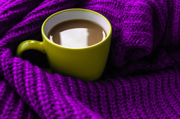 Fototapeta na wymiar cup of coffee on a scarf in the autumn