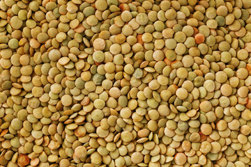 Lentils. Lentils background. Green lentils pattern. Natural organic lentils for healthy food