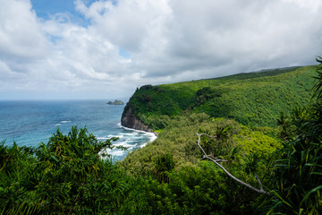Fototapeta premium Pololu Valley Shoreline in Summer