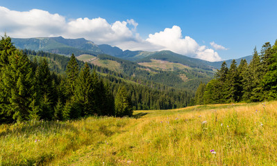 Fototapeta premium mountain landscape in Tatras