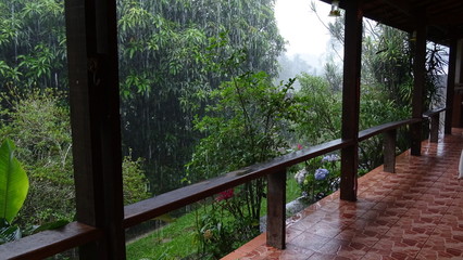 wood house in forest